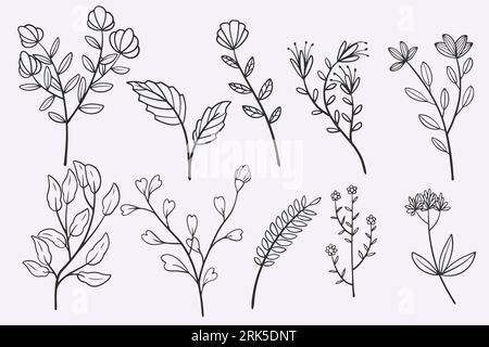 flower leaves doodle hand drawn vector illustration set Stock Vector