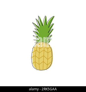 Pineapple hand drawn. Abstract shape fruit inspiration. Vector illustration, flat design Stock Vector