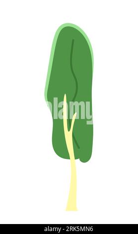 Evergreen park tree semi flat colour vector object Stock Vector Image ...