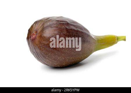 Single fresh purple fig isolated on white background close up Stock Photo