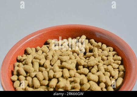 Pet food, special food for pet rodents, transmitting food care and well-being to your furry friend. Nutritious and balanced food for pet rodents, prov Stock Photo