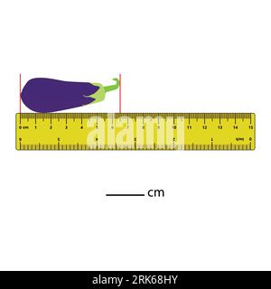 Measuring length in centimeters  brinjal with the ruler. Education developing worksheet. Game for kids. Puzzle for children. Vector illustration. cart Stock Vector