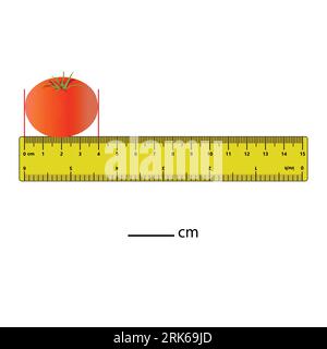 Tape measure in centimeters Royalty Free Vector Image