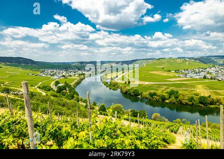 Short discovery tour in the Moselle region near Bremm - Rhineland-Palatinate - Germany Stock Photo