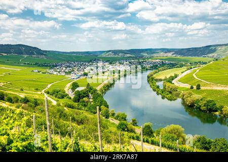 Short discovery tour in the Moselle region near Bremm - Rhineland-Palatinate - Germany Stock Photo