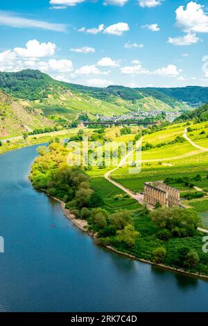 Short discovery tour in the Moselle region near Bremm - Rhineland-Palatinate - Germany Stock Photo