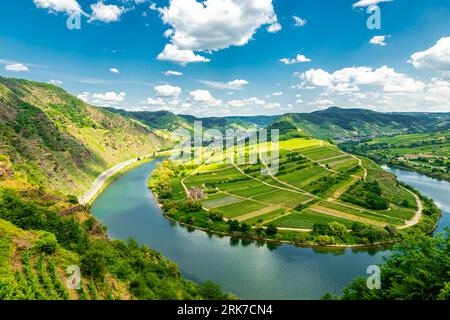 Short discovery tour in the Moselle region near Bremm - Rhineland-Palatinate - Germany Stock Photo