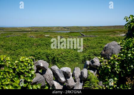 Inishmore on summer sunny day, Aran Island, Co, Galway, Ireland, the last lands to the west before you reach America Stock Photo
