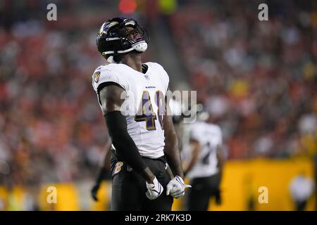 Baltimore Ravens linebacker Jeremiah Moon (48) rushes the