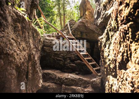 A set of stairs descending into a cave in a lush, green forest Stock Photo