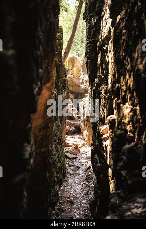 A set of stairs descending into a cave in a lush, green forest Stock Photo