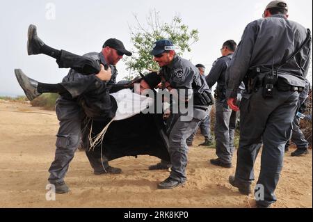 Bildnummer: 54052280  Datum: 16.05.2010  Copyright: imago/Xinhua (100516) -- ASHKELON, May 16, 2010 (Xinhua) -- Israeli police arrest an ultra-Orthodox Jew protesting the removal of ancient graves, in the southern coastal town of Ashkelon May 16, 2010. At least 30 ultra-Orthodox demonstrators were arrested on Saturday and Sunday as they protested the relocation of ancient graves. An emergency room of a medical center was planed at the site. (Xinhua/Rafael Ben-Ari) (nxl) ISRAEL-ASHKELON-ULTRA-ORTHODOX-PROTEST PUBLICATIONxNOTxINxCHN Politik kbdig xmk 2010 quer premiumd xint  o0 Polizei Festnahme Stock Photo