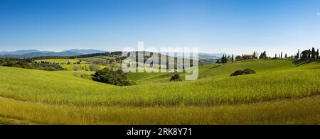 Rolling hills of Tuscany near Volterra, Tuscany, Italy Stock Photo