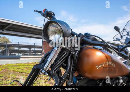 Germany , Cottbus , 24.08.2023 , Details of a Harley Davidson Model Springer Stock Photo