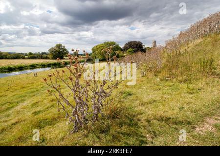 The site of Fotheringhay Castle. The historic castle was part of two major moments in English history. King Richard III was born at Fotheringhay in October 1452. Mary Queen of Scots was held prisoner and executed at Fotheringhay in February 1587. The remaining stones sit beside the River Nene in the County of Northamptonshire. Stock Photo