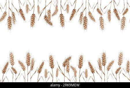 Seamless border of Ears of wheat. Autumn harvest, crops. Watercolor ...