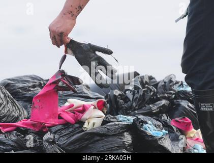 Bildnummer: 54248538  Datum: 22.07.2010  Copyright: imago/Xinhua (100723) -- DALIAN, July 23, 2010 (Xinhua) -- A volunteer takes off the oil-covered gloves after cleaning up crude oil at a polluted beach in Dalian City, northeast China s Liaoning Province, July 22, 2010. Over 1,000 fishing boats were mobilized recently to join the oil spill cleanup operation after the oil pipe explosion at Dalian Xingang Harbor. Meanwhile a lot of fishermen and volunteers also came to the shore on their own to clear up crude oil in an attempt to retrieve the beautiful beachscape of former days. (Xinhua/Lu Wenz Stock Photo