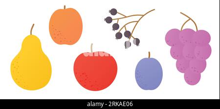 set of autumn fruits: pear, apple, peach, chokeberry, plum and grapes - vector illustration Stock Vector