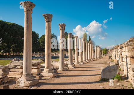 Columns of the Tetragonos Agora. The commercial market square in Ephesus Ancient City. Selcuk, Izmir, Turkey. Stock Photo