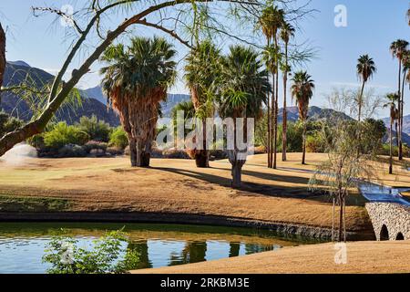 Palm Springs, California, USA. 11th Oct, 2015. Reseeded golf course at the Indian Canyons Golf Resort. (Credit Image: © Ian L. Sitren/ZUMA Press Wire) EDITORIAL USAGE ONLY! Not for Commercial USAGE! Stock Photo