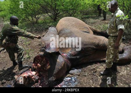 Bildnummer: 54591434  Datum: 31.10.2010  Copyright: imago/Xinhua (101101) --  Nov. 1, 2010 (Xinhua) -- Rangers of the Kenya Wildlife Service (KWS) stand next to the remains of an elephant killed by poachers at the Meru National Park near Isiolo in eastern Kenya, Oct. 31, 2010. Kenya s wildlife authorities said on Monday its rangers killed three suspected poachers, with four firearms recovered in two separate incidents in Isiolo and Tsavo in the past week. (Xinhua/Kenya Wildlife Services) (zw) KENYA-ELEPHANT-POACH PUBLICATIONxNOTxINxCHN Gesellschaft Tiere Kriminalität tot Elefant Wilddiebe getö Stock Photo