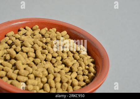 Pet food, special food for pet rodents, transmitting food care and well-being to your furry friend. Nutritious and balanced food for pet rodents, prov Stock Photo