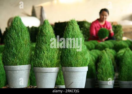 Bildnummer: 54760417  Datum: 18.12.2010  Copyright: imago/Xinhua (101219) -- LINYI, Dec. 19, 2010 (Xinhua) -- A woman checks the Christmas trees made from grass in Linyi of east China s Shandong Province, Dec. 18, 2010. A craftwork manufacturer in Linyi designs and makes eco-friendly Christmas decorations with grass, wicker, iron wires, etc, and the Christmas products of the manufacturer are welcomed in European and American countries. (Xinhua/Zhang Chunlei) (zhs) CHINA-SHANDONG-ECO-FRIENDLY-CHRISTMAS-DECORATIONS (CN) PUBLICATIONxNOTxINxCHN Gesellschaft Weihnachten kbdig xng 2010 quer o0 Pflan Stock Photo