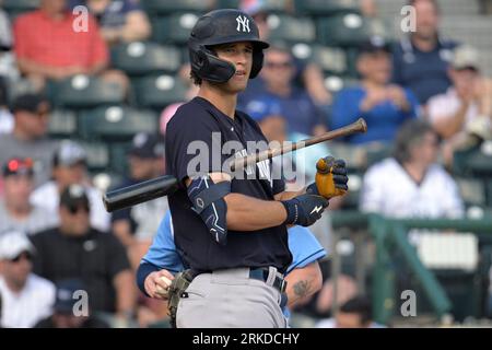 Atlanta Braves Kevin Pillar (17) bats during a spring training baseball  game against the New York Yankees on February 26, 2023 at George M.  Steinbrenner Field in Tampa, Florida. (Mike Janes/Four Seam