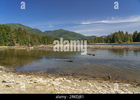 A sandy river bed and tidal inlets in the coastal forest near Port Renfrew, British Columbia, Canada. Stock Photo