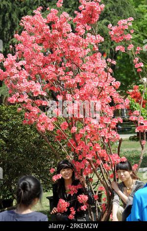 Bildnummer: 55271266  Datum: 18.04.2011  Copyright: imago/Xinhua (110418) -- NANJING, April 18, 2011 (Xinhua) -- Visitors pose for a photo with Azalea at a park in Nanjing, capital of east China s jiangsu Province, April 18, 2011. The 9th China Azalea Exhibition kicked off here on Monday, showcasing over 200 kinds of Azalea from more than 30 cities around China. (Xinhua/Sun Can) (cxy) CHINA-JIANGSU-NANJING-AZALEA (CN) PUBLICATIONxNOTxINxCHN Pflanzen kbdig xub 2011 hoch  o0 Frühling, Jahreszeit, Blüte, Blume, Azalee    Bildnummer 55271266 Date 18 04 2011 Copyright Imago XINHUA  Nanjing April 18 Stock Photo