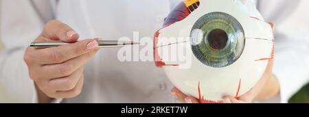 Ophthalmologist holds anatomical model of human eye and pen in her hands. Stock Photo