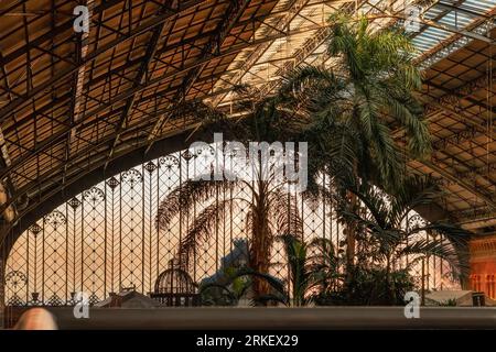 Indoor gardens and stained glass wall of Atocha railway Station in Madrid, Spain Stock Photo