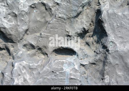 Background wall with abstract spots. Beautiful brown, bronze texture with stains, abstract surface background, modern bright painting of walls in tren Stock Photo