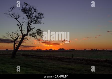 Sunset on the road in open fields with a lonely tree Stock Photo