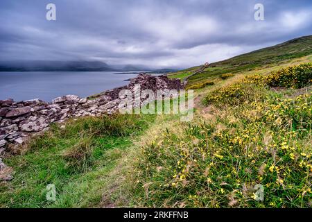 Old stone wall rolling over the green hills of Ireland Stock Photo