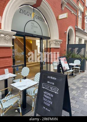 DAVID BOWIE TRIBUTE AROUND 23 HEDDON STREET ZIGGY STARDUST COVER PHOTO SESSION IN LONDON Stock Photo