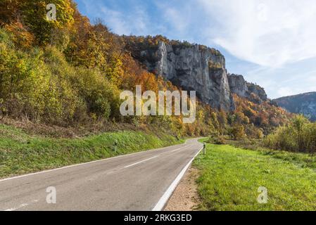 Road at the rock Schaufelsen near Neidingen in the autumnal Upper Danube Valley, Beuron, Upper Danube Nature Park, Sigmaringen district, Germany Stock Photo