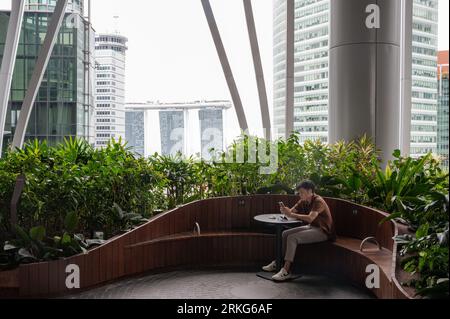 01.08.2023, Singapore, Republic of Singapore, Asia - Visitor on one of four levels at Green Oasis vertical garden of the new CapitaSpring skyscraper. Stock Photo