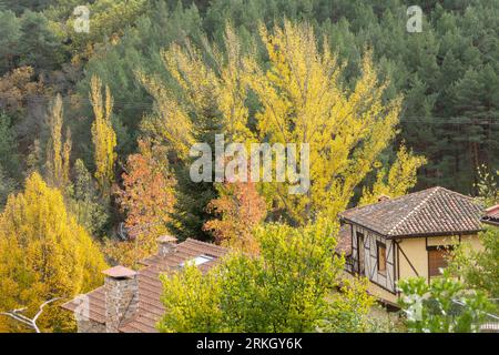 A cottage peeking through the autumn trees in Montejo de la Sierra, Madrid, Spain Stock Photo