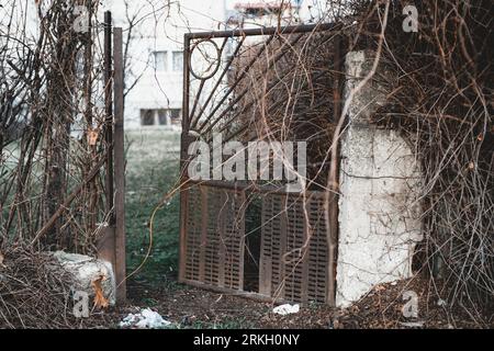 An antique metal door propped wide open next to dry trees in autumn Stock Photo