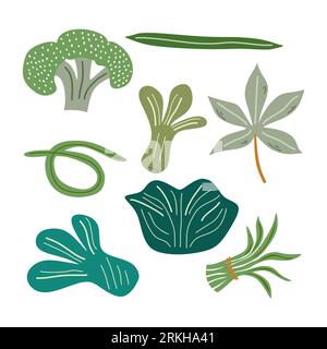 Set of different vegetables : broccoli, cabbage, long beans, mustard greens, onion, beet, cucumber etc. Fresh organic food isolated on white backgroun Stock Vector