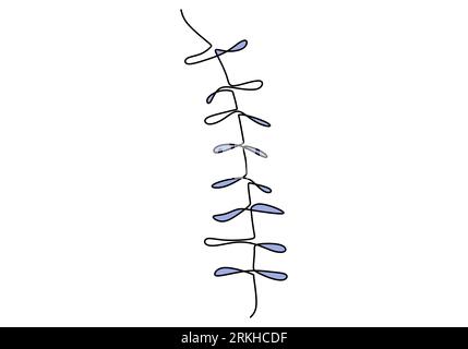 One continuous line drawing of beautiful Fuji flower with leaf. Wisteria flower is one of species of woody climbing bines. Natural plant in spring and Stock Vector