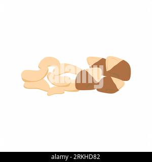 Roasted nut in shell isolated flat cartoon. A peeled and unpeeled food snack in hard shell. Vector illustration organic healthy food, edible brown nut Stock Vector