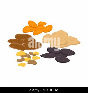 Mix of dried fruits nuts and seeds isolated on a white background. Vegetarian, healthy organic food concept. Vector icon illustration of natural sweet Stock Vector