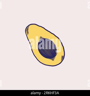 Vector hand drawn avocado fruit. Sliced pieces of avocado, tropical summer fruit engraved style illustration. Vintage hand drawn colored sketch design Stock Vector
