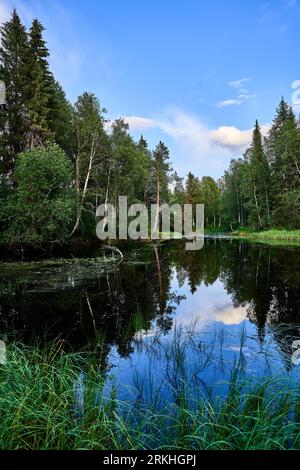 A vertical of the Karvakkojoki river in a green forest in Kemijarvi, Eastern Lapland, Finland Stock Photo
