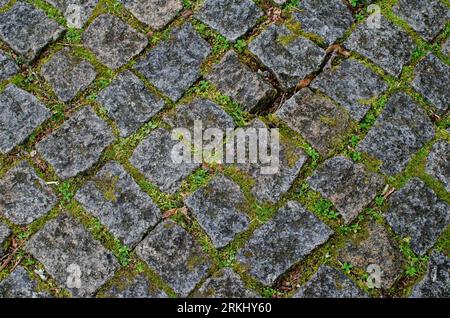Cobblestone pavement with green moss pattern background photography Stock Photo