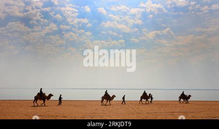 Bildnummer: 56121371  Datum: 27.09.2011  Copyright: imago/Xinhua (110927) -- YULIN, Sept. 27, 2011 (Xinhua) -- Tourists ride camels near China s largest desert lake Hongjiannao in Yulin, north China s Shaanx Province, Sept. 24, 2011. Hongjiannao is shrinking as a result of climate change and human activities, and may vanish in a few decades. Its lake area, which measured more than 6,700 hectares in 1996, has shrunk to 4,180 hectares. Its water level is declining by 20-30 centimeters annually and its water PH value has risen to 9.0-9.42 from 7.4-7.8. (Xinhua/Liu Yu) (lfj) CHINA-SHAANXI-LARGEST Stock Photo