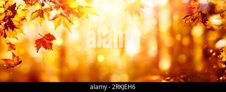 Autumn - Falling Orange Maple Leaves In Abstract Sunset With Glittering Of Lights Stock Photo
