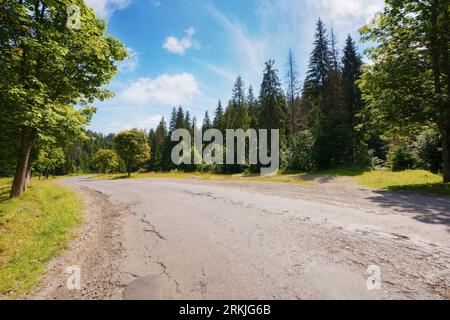 old road leads through a peaceful countryside. tranquil journey through scenic forested area of carpathian mountains in summer. Stock Photo